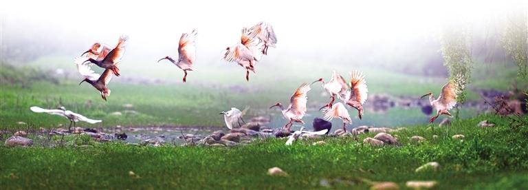 Ұ�����q��Ϣ��