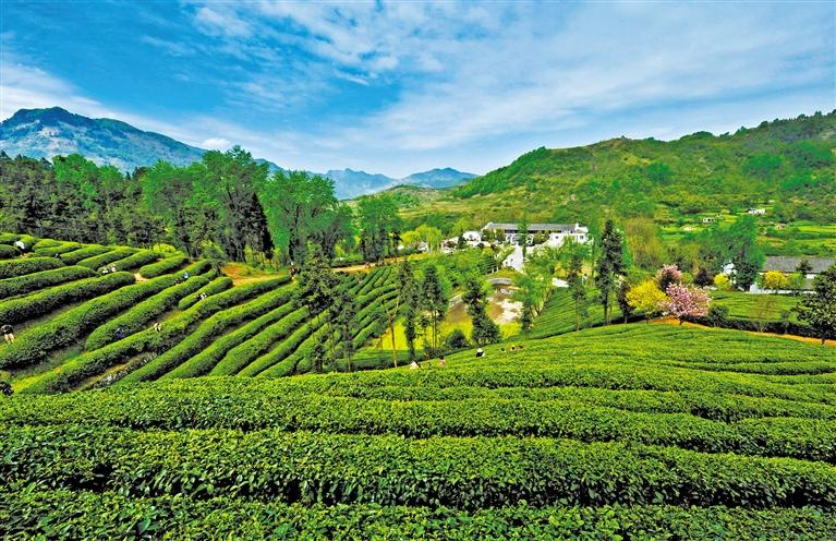 ������԰