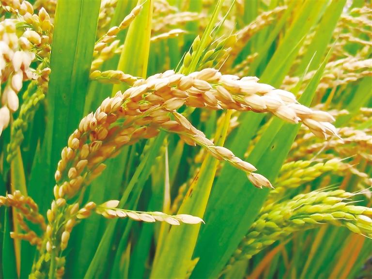 �л�����ˮ��