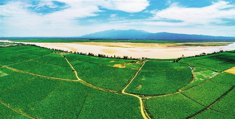 �Զ���Ķ����