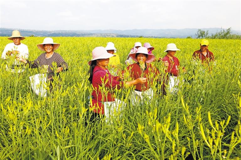 ����԰�������¸�����