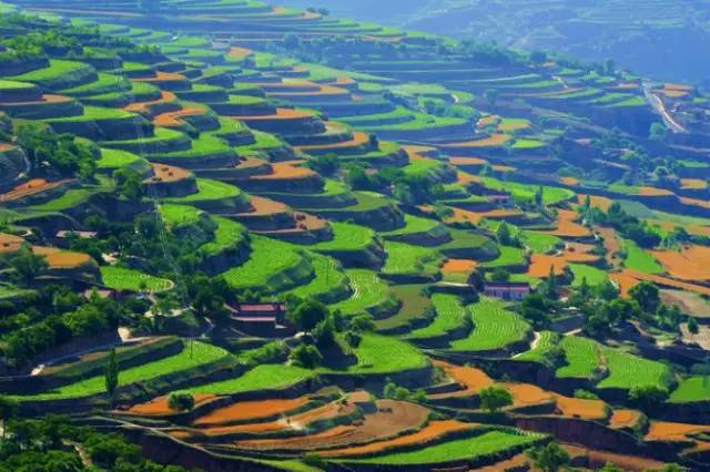 ����֮��1