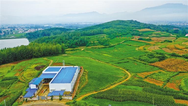 ������ҵ��ֲ����ȫ��