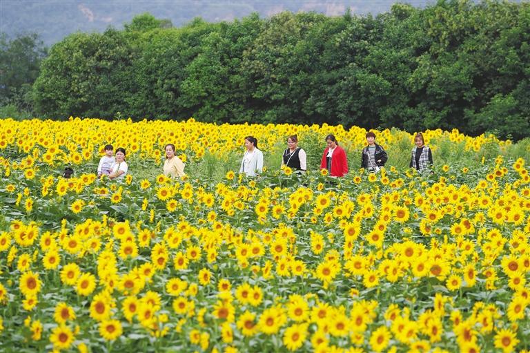 �书���书���Ϳ�����