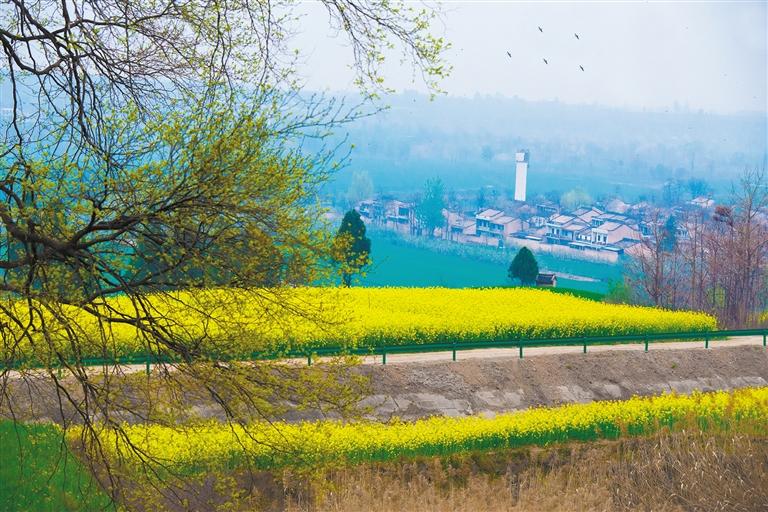 Ǭ�������