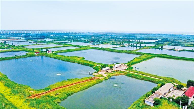 ������ҵ����