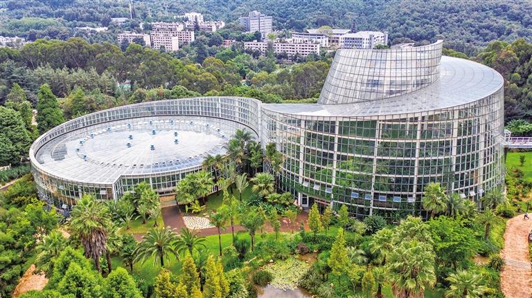 �й���ѧԺ����ֲ���о�������ֲ��԰�ڵġ����󹬡��������������԰