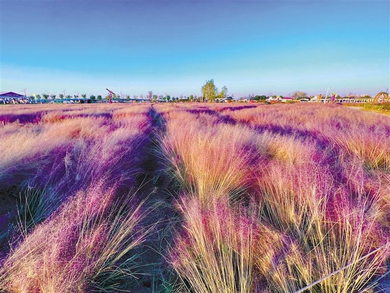 �������Ӳ�