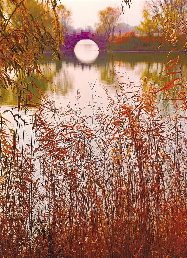 Ǣ���羰��