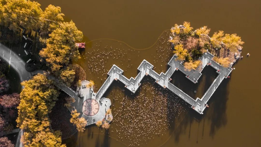 ����ܽ��԰