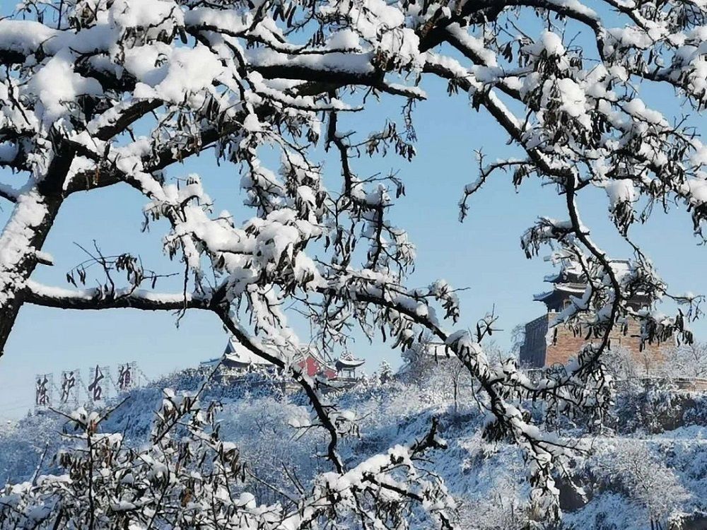 ������ĳ�¯����