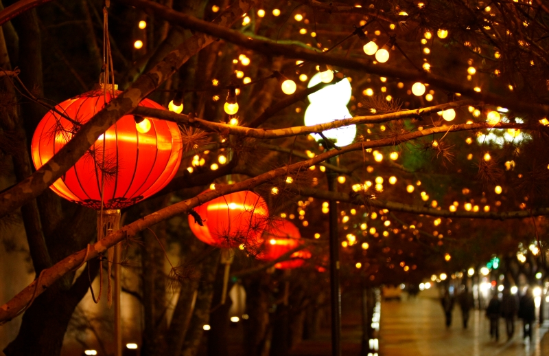 ���곩����