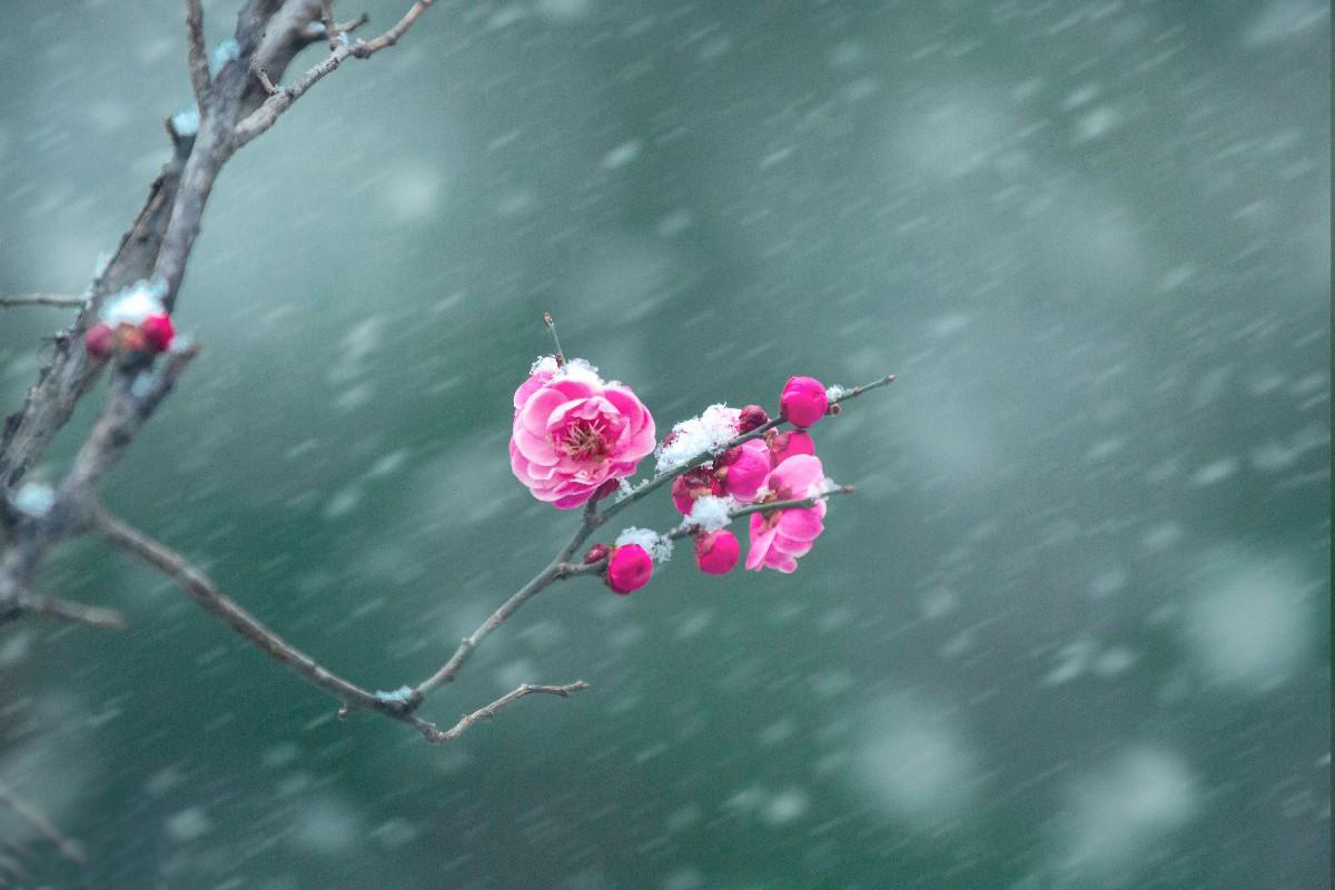 ���칫԰��÷��