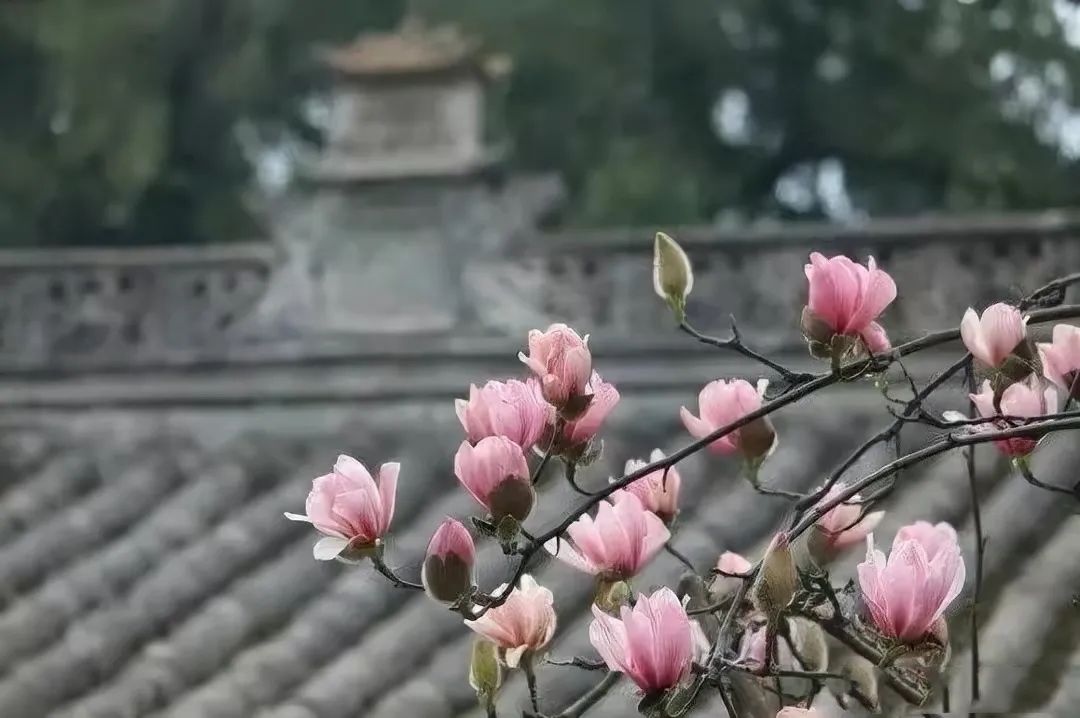 ����Ψһ��400���䣡