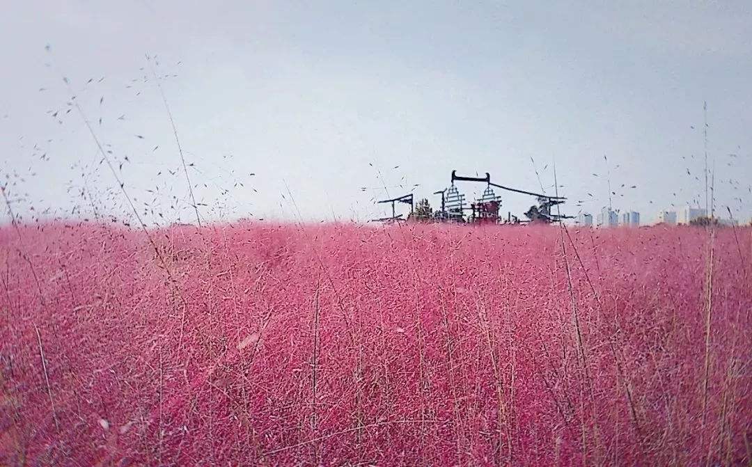 �������Ӳ�