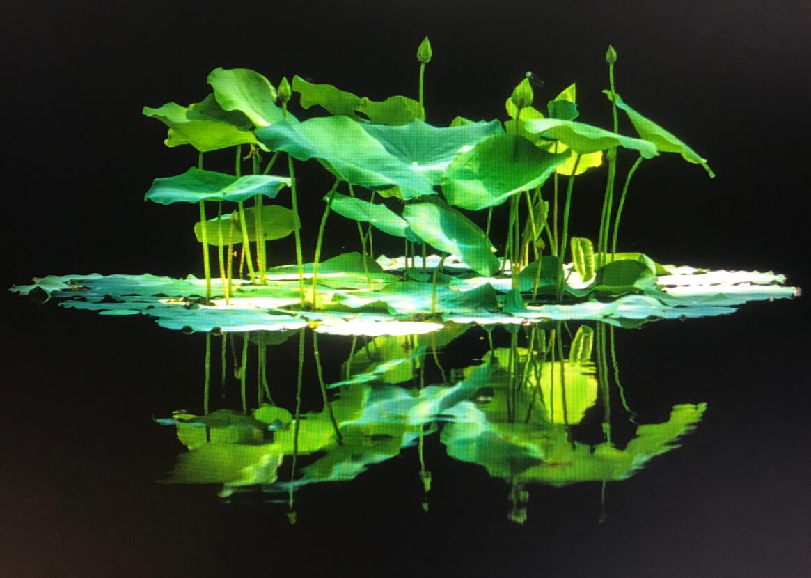 ��ҹ ����