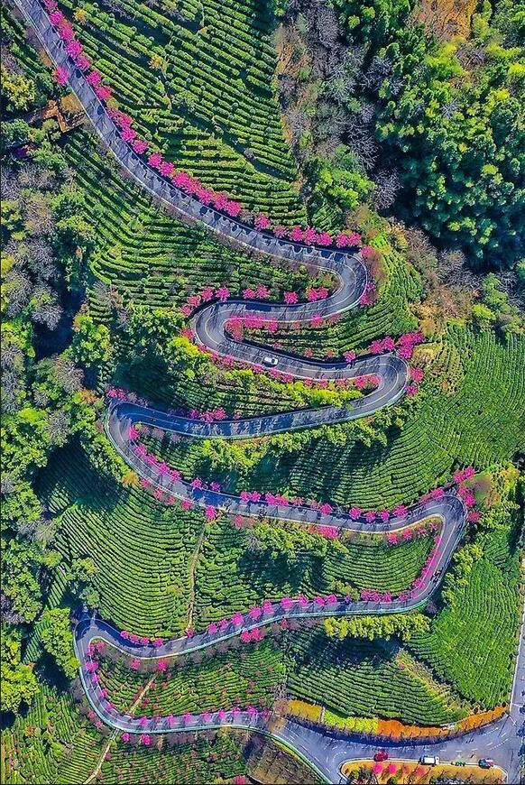 ����ƽ����������ɽ����԰