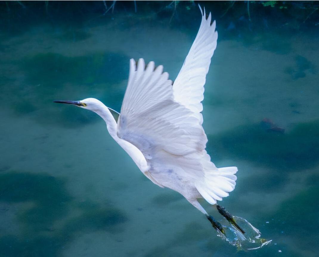 ����չ��