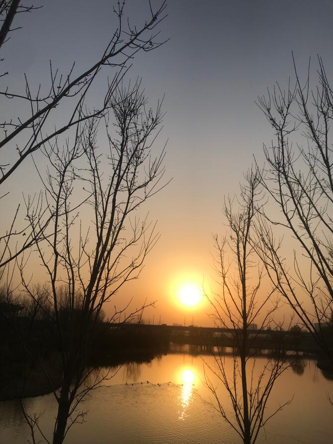 Ϧ������