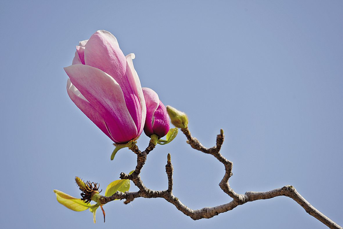 ����ӭ��