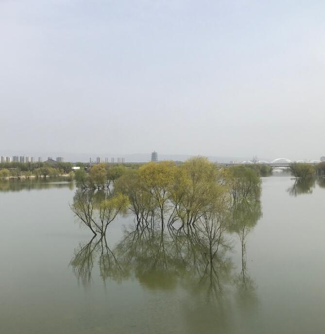 Զ��������