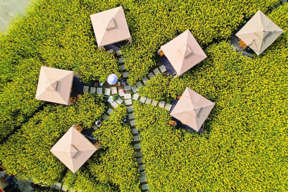 �ɶ�ʮ��Ķ�Ͳ˻�����Ի��