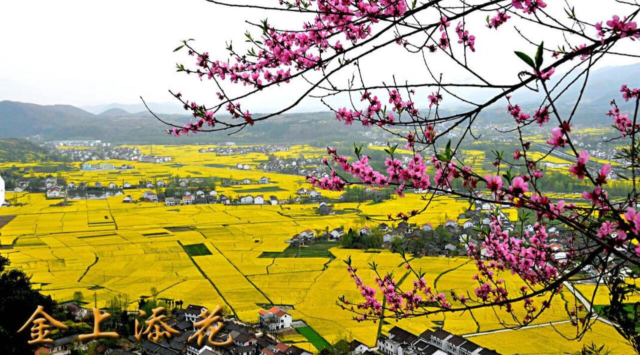 �ּ�����