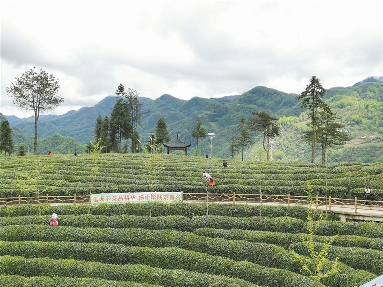 �������¡������Ƭ�Ĳ�԰