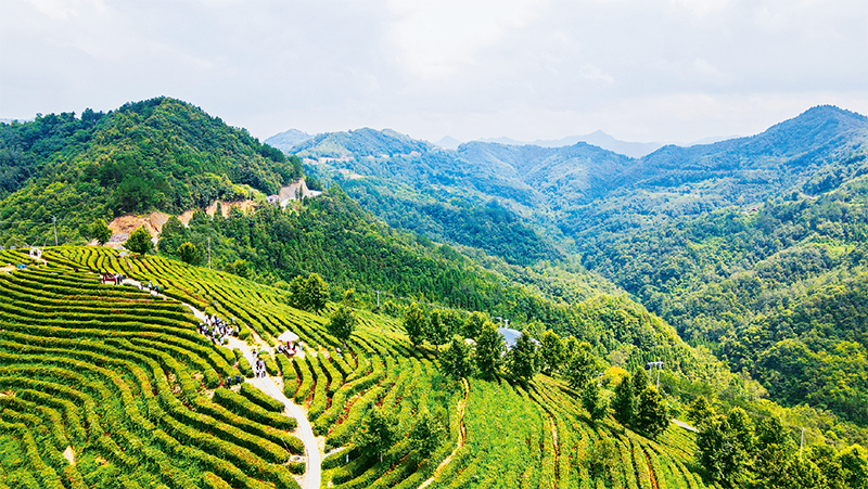 ƽ���ؽ���ƺ��Ĳ�԰