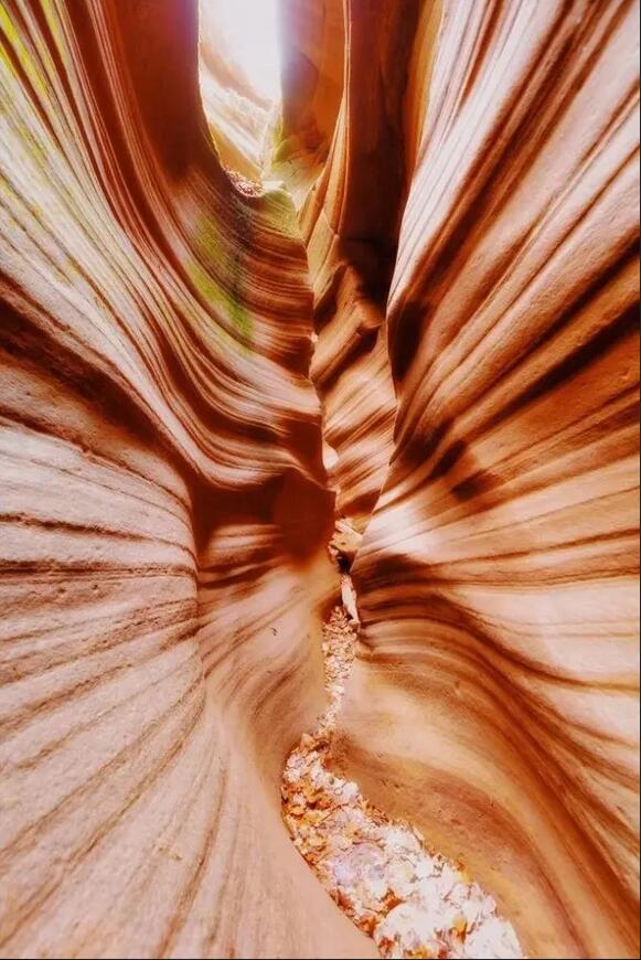 ��Ȫ�����Ͽ��