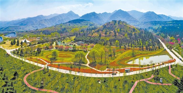 �������ֲ��԰