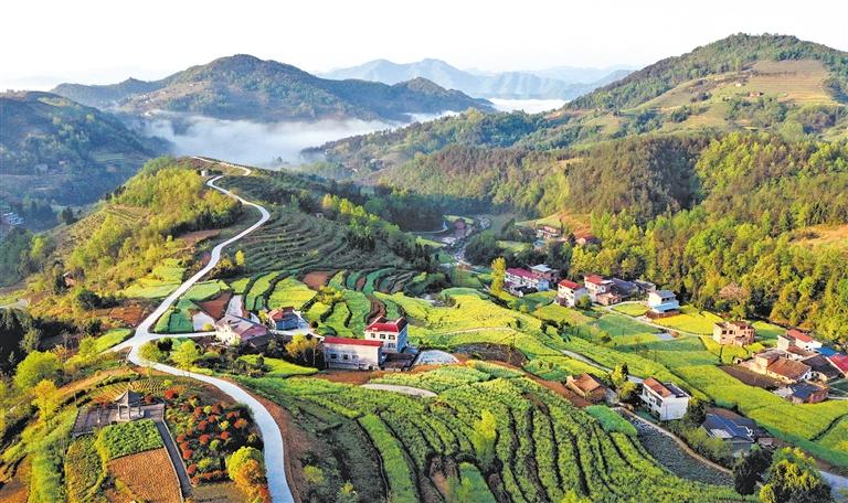 ��������������ƺ�������