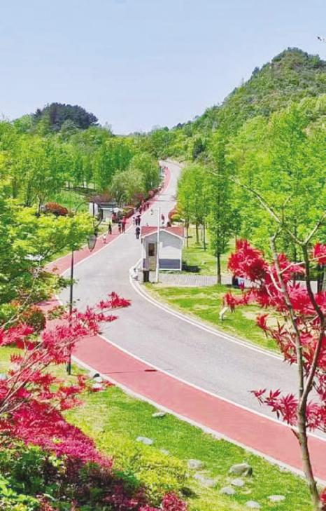 ������Ȼ֮·