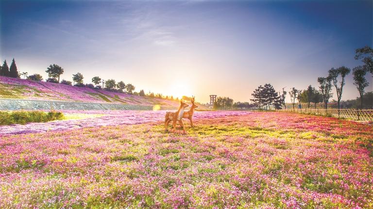 μ�Ӱ��ﻭ��