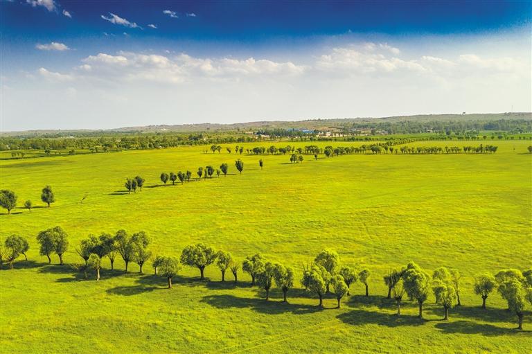 �����������Ķ���ԭ