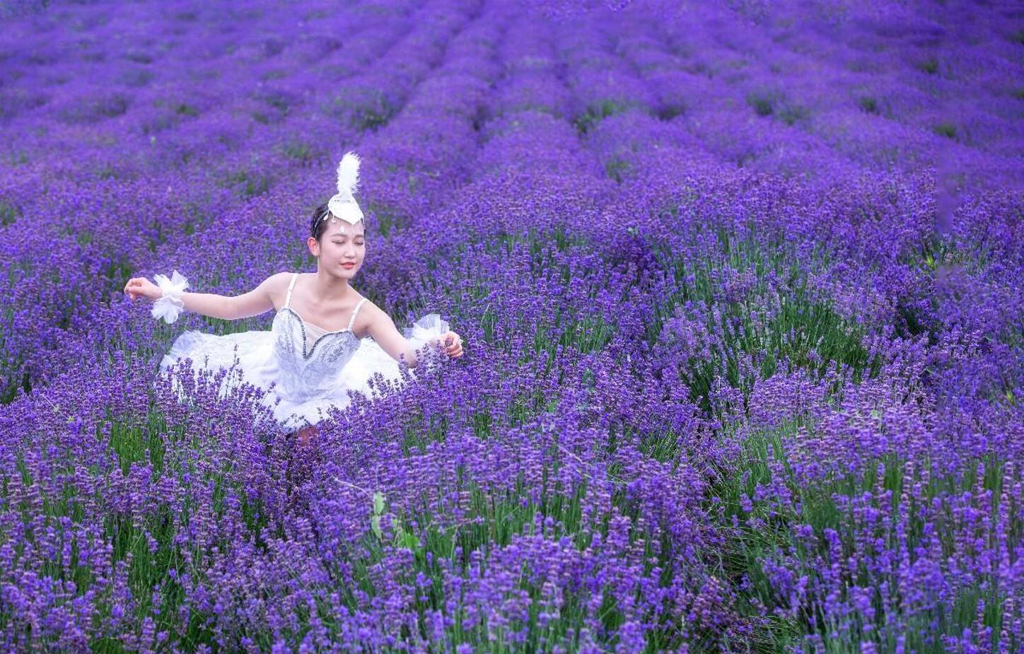 ޹�²�ׯ԰���赸