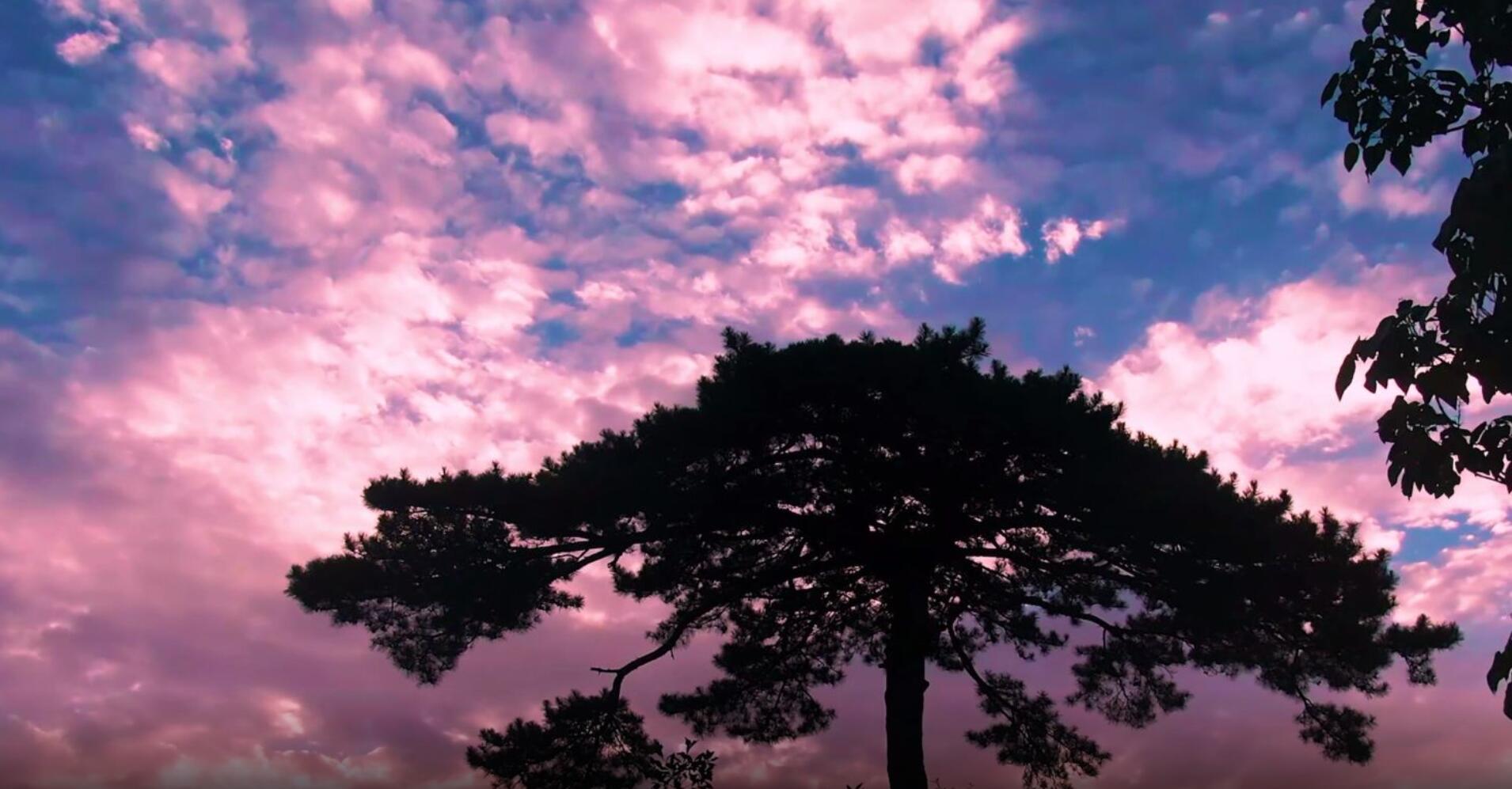 �����Ϧ��