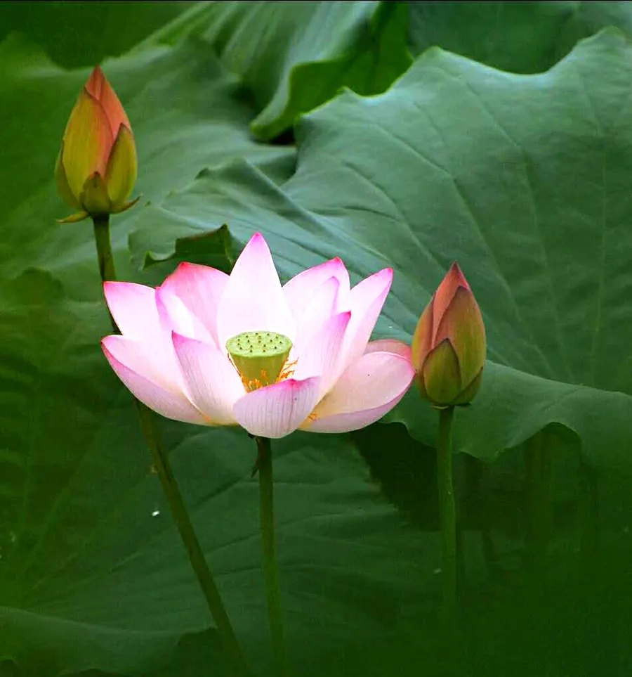 �ּ�����