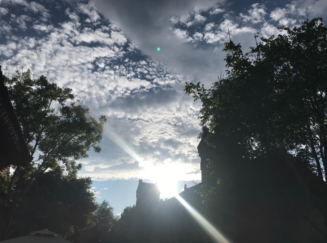 ������Ӱ5