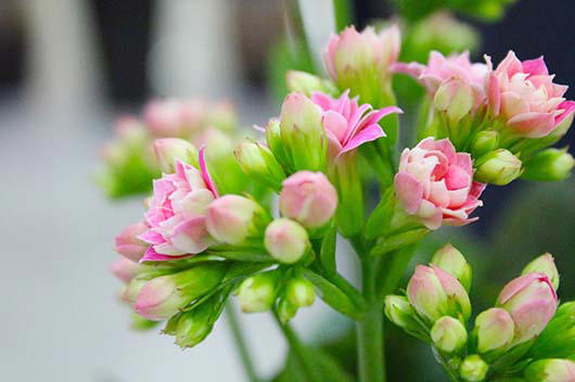 ����ʱ��