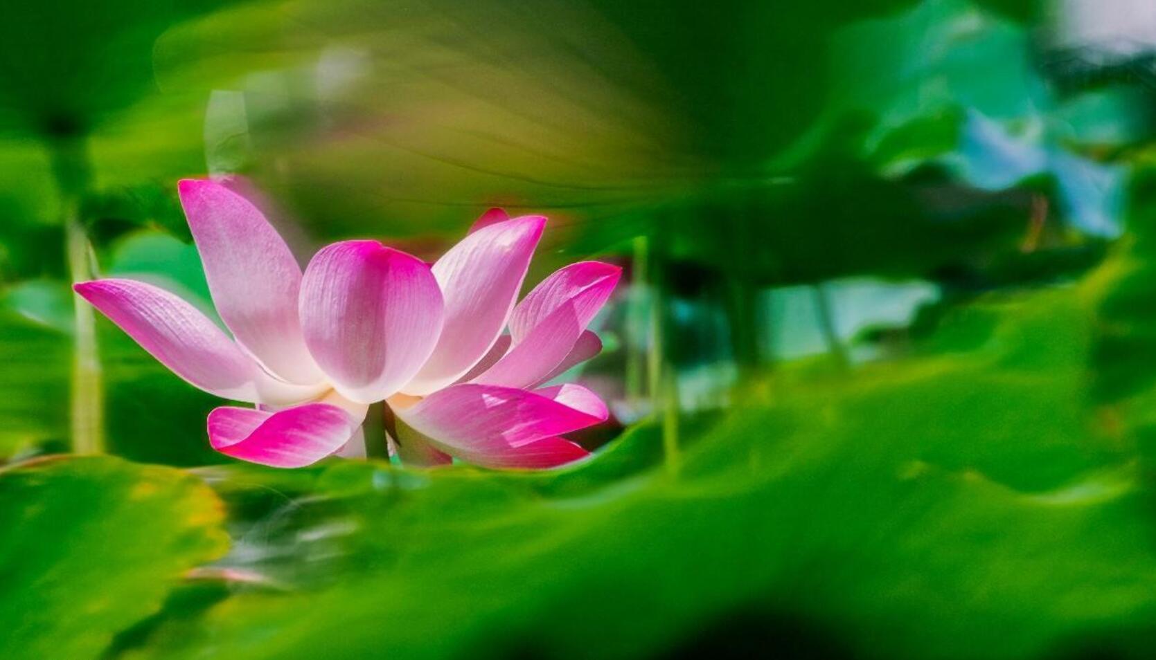 Ϊ�ɶ�����