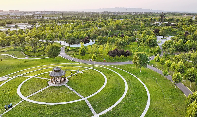 ��������������������   ����������