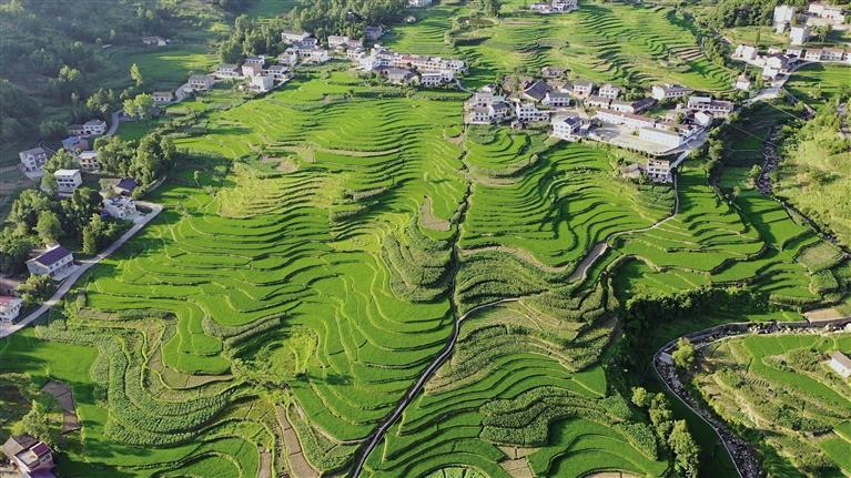 ������Ķ������