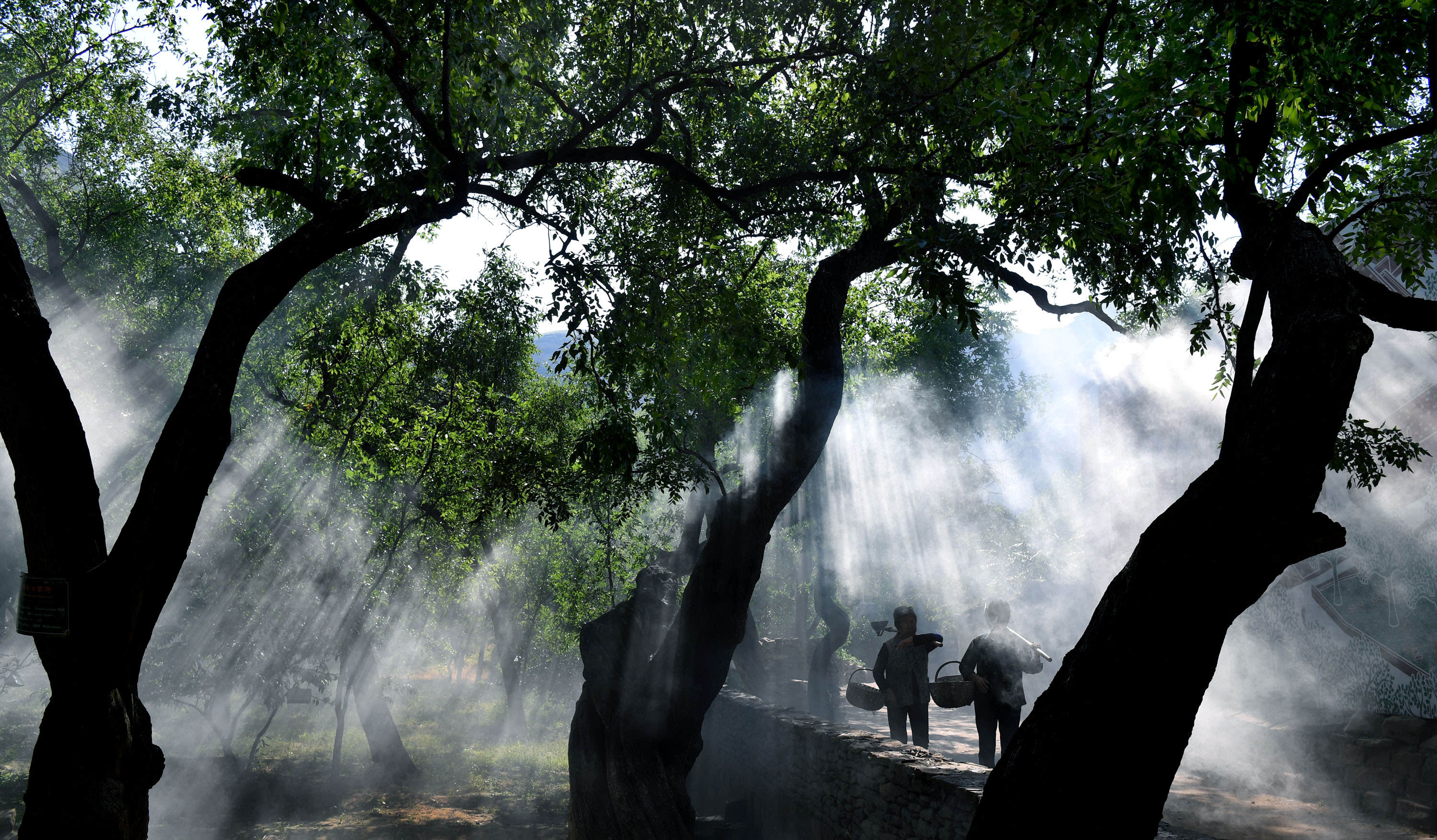 ���ع���԰