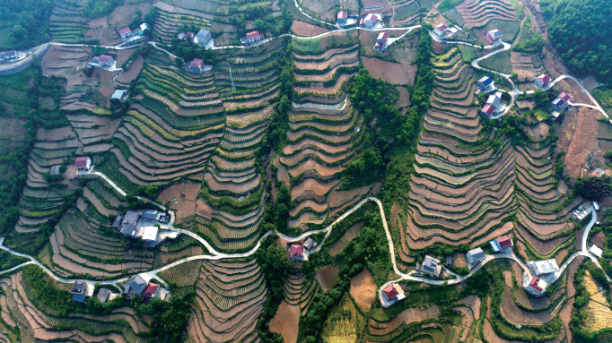 ��ƺ�سǹ����Ĳʴ�����