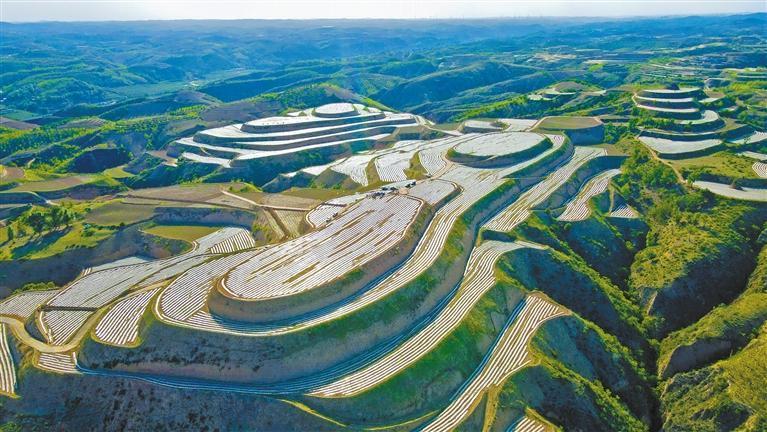 ����ͨ�򳣼҈q��ĸ߱�׼ũ��