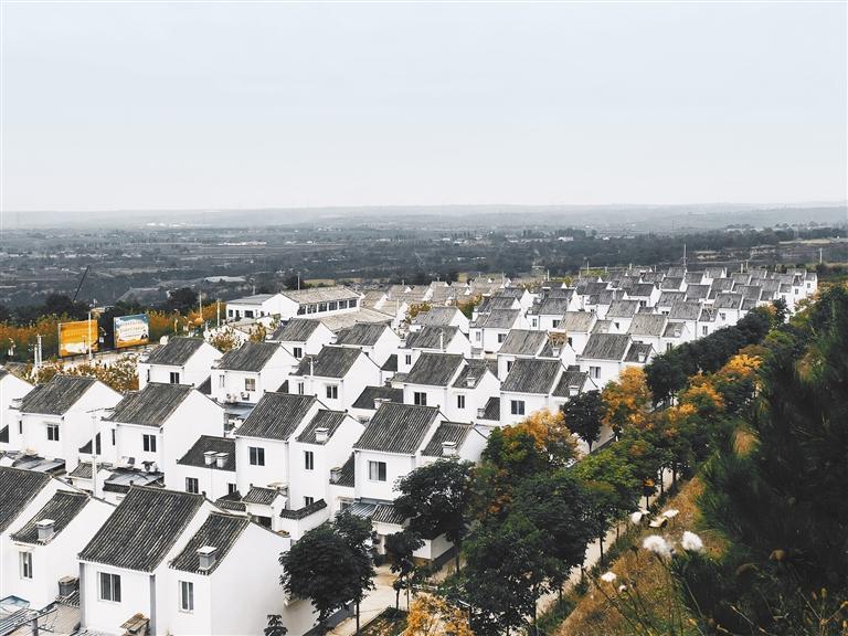 ���������ɽ�����´�