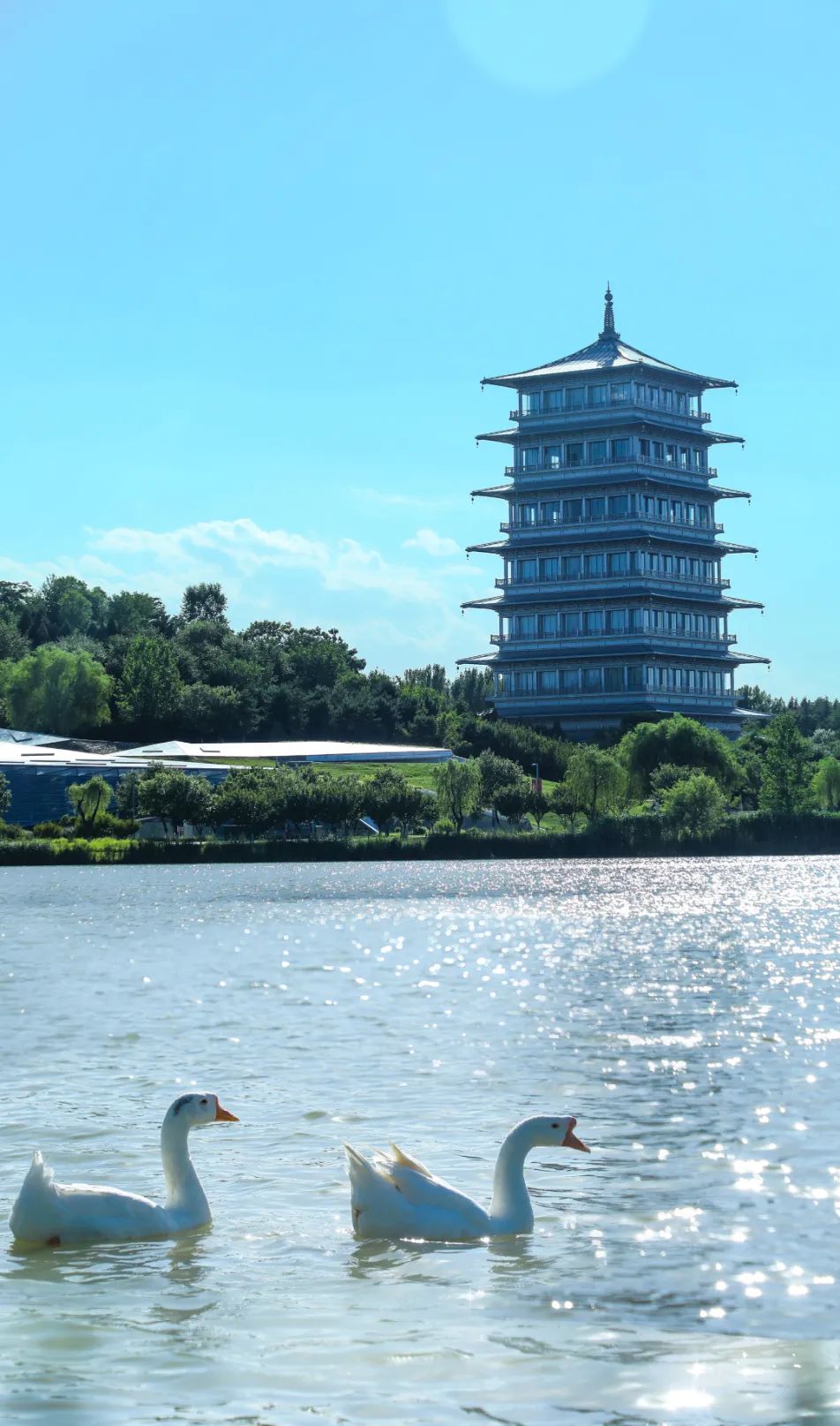 ���������̬��