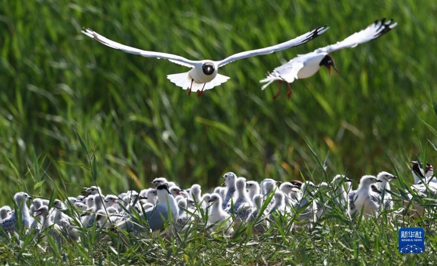 ����׹��Ҽ���Ȼ���������Ϸ������Ÿ