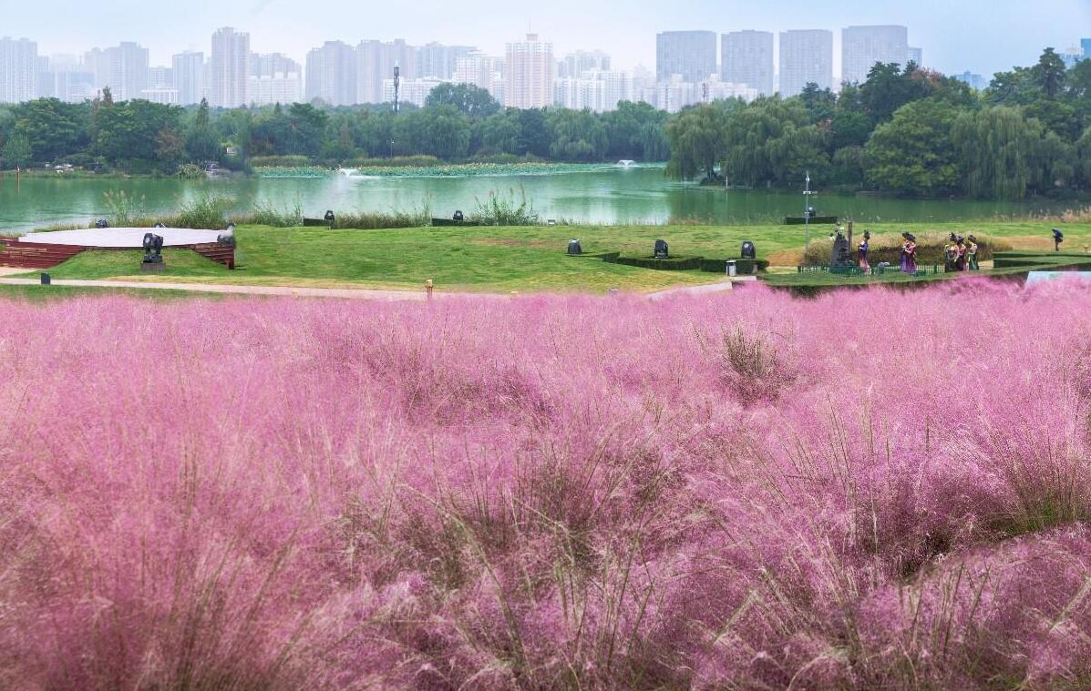 ��������԰